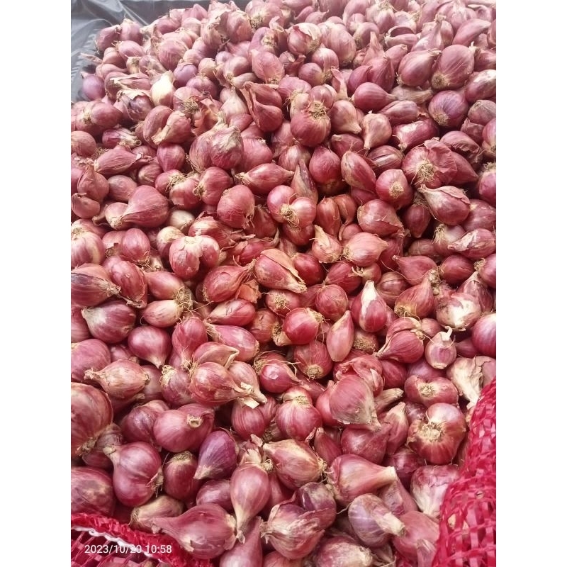 Jual Bawang Merah Ukuran Sedang Brambang 1 Kg Shopee Indonesia