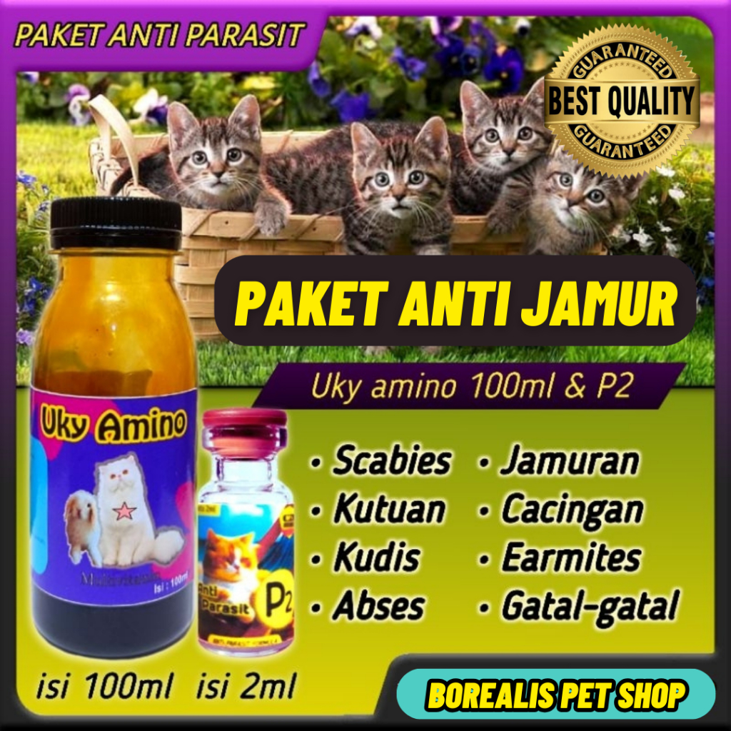 Jual Obat Kutu Kucing Vitamin Kucing Obat Jamur Kucing Obat Scabies