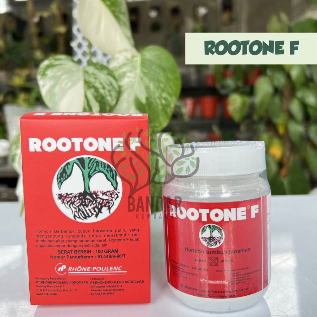 Jual ROOTONE F 100gr Hormon Penumbuh Akar 100gr Bubuk Cangkok Tanaman ...