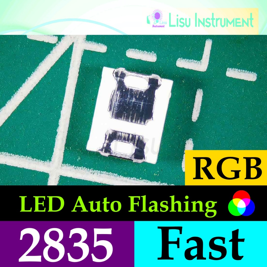 Jual 2835 LED RGB Automatic Flashing Blinking Animation Slow or Fast ...