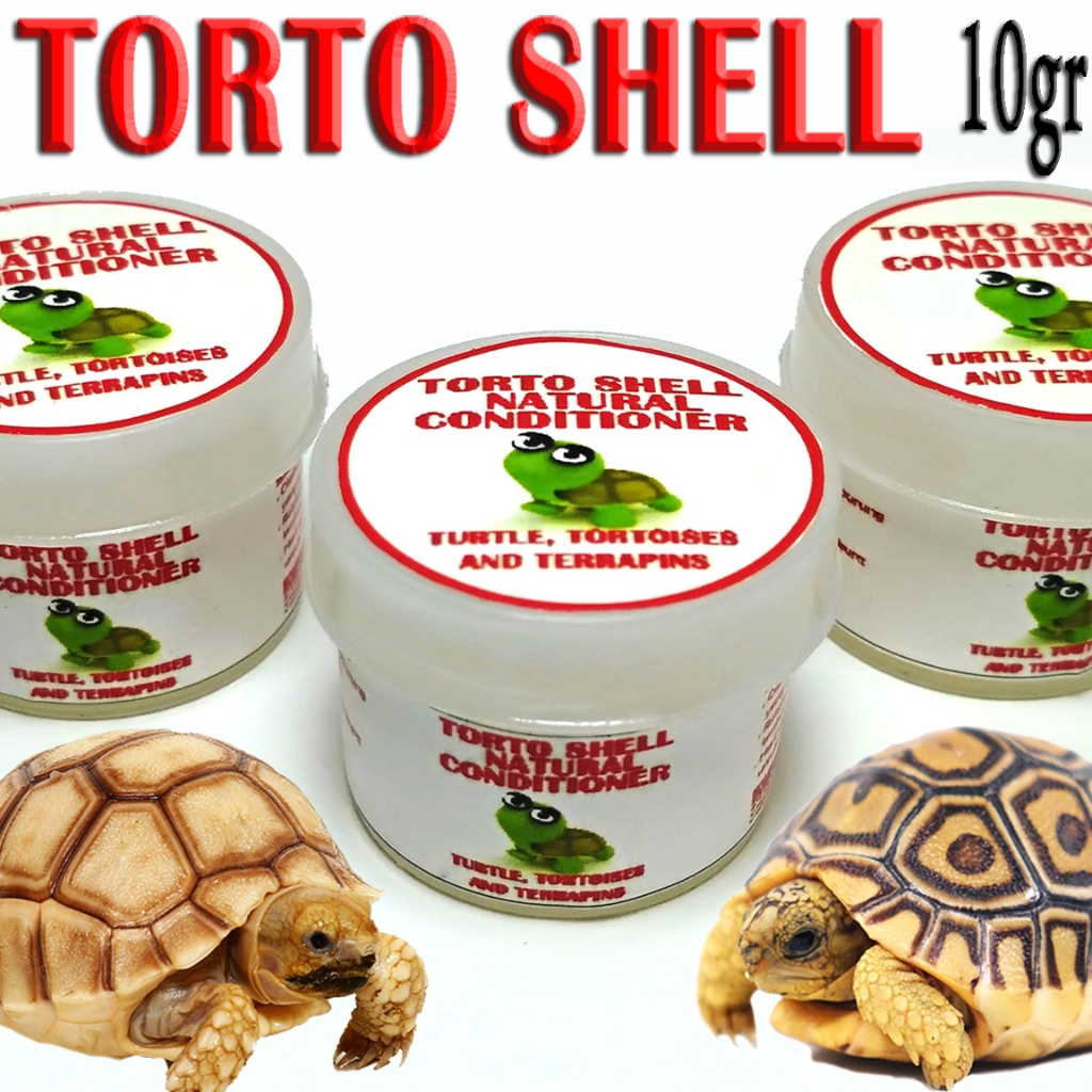 Jual 50GR TORTOISE SHELL CONDITIONER PELEMBAB TEMPURUNG KERAPAS KURA ...