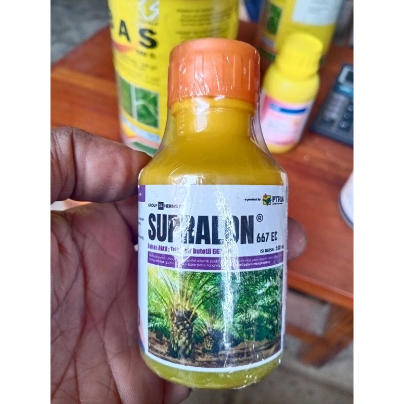 Jual SUPRALON® 667 EC 100 ml Semak Belukar, Tunggul kayu | Shopee Indonesia