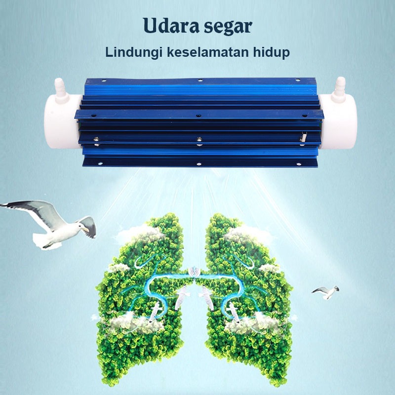 Jual 220V 10G Ozone Generator Tube Water Tabung Air Purifier Water ...