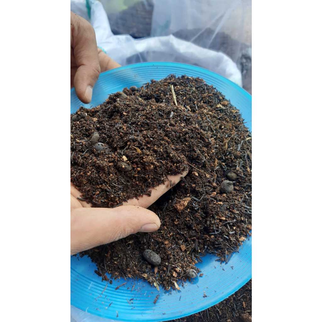 Jual Media Tanam Super Organik Karungan Siap Pakai Top Soil Cocok Untuk ...