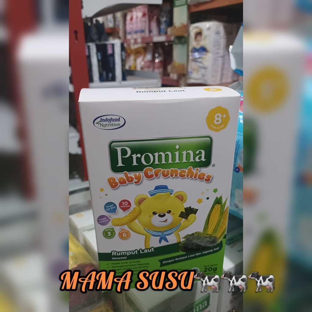 Mencari Makanan Bayi Bebas MSG? Panduan Lengkap Penjual Online Terpercaya
