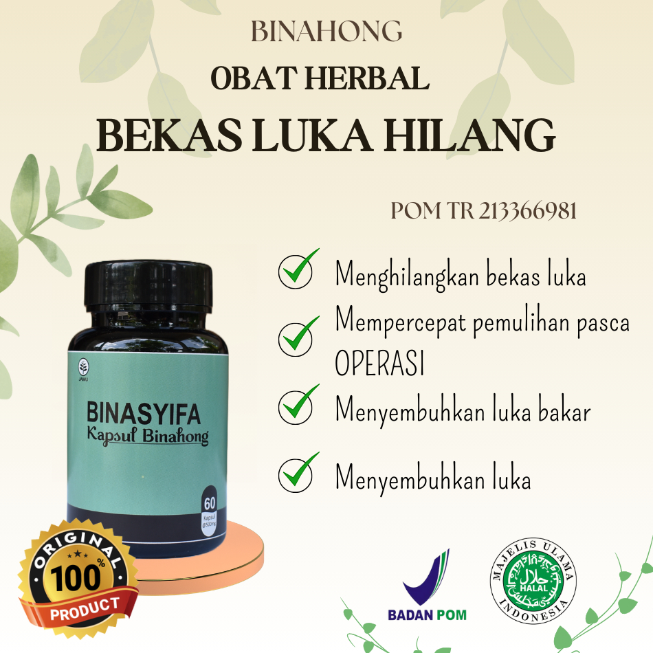 Jual Binahong Obat Herbal Kapsul Daun Binahong Penghilang Bekas Luka Bakar Berbentuk Kapsul