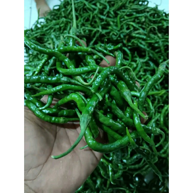 Jual Cabe Ijo Kriting 1kg Cabai Keriting Hijau Shopee Indonesia