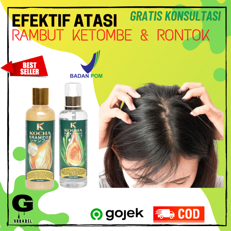 Jual Kocha Shampoo Obat Anti Ketombe Berkerak Dan Rambut Rontok Parah