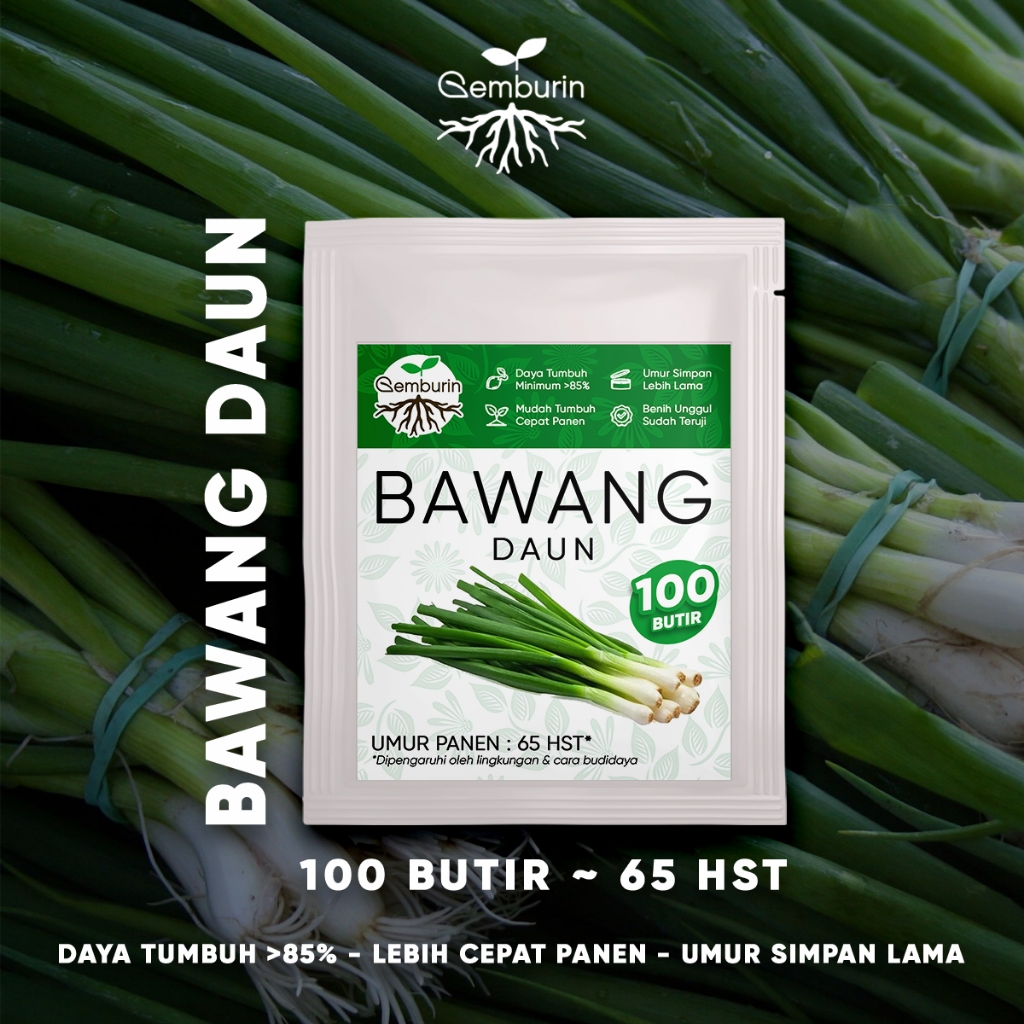 Jual Benih Daun Bawang Super 100 Biji / Bibit Sayuran Premium Unggul ...