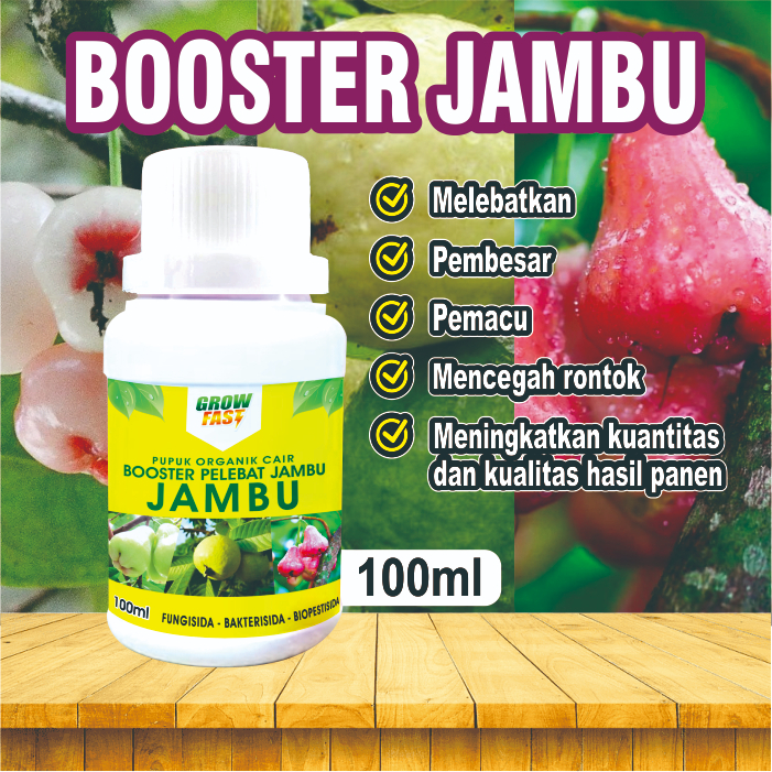 Jual Pupuk Booster Jambu (100ml) I Pupuk Organik Pelebat Buah Jambu I ...