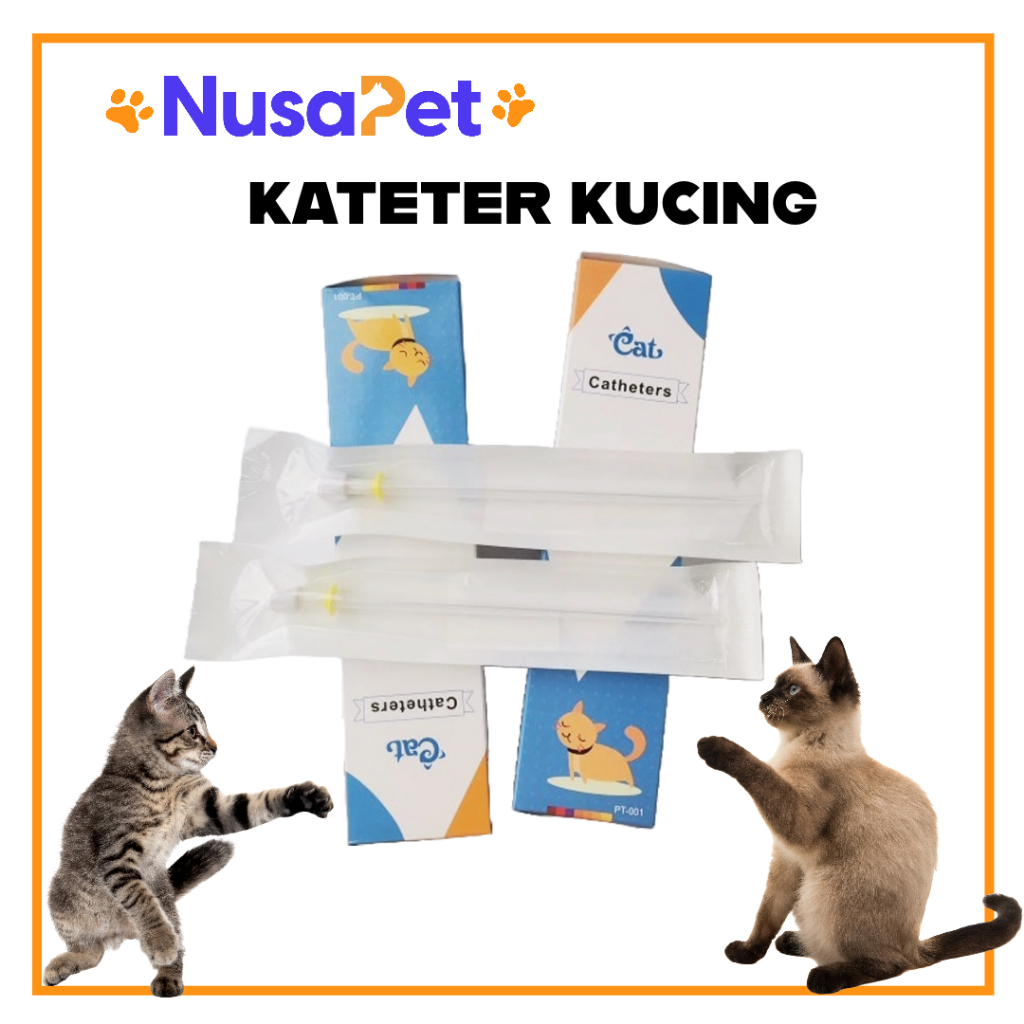 Jual KATETER KUCING CATHETER FOR CAT Shopee Indonesia