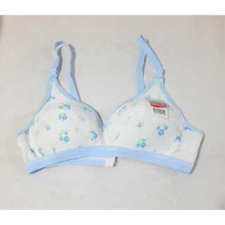 Jual Bra/bh/sport/ABG/remaja/wanita/ibu/tanpa kawat/busa tipis /stiker/jumbo/Caresby/murah/lusinan/grosir