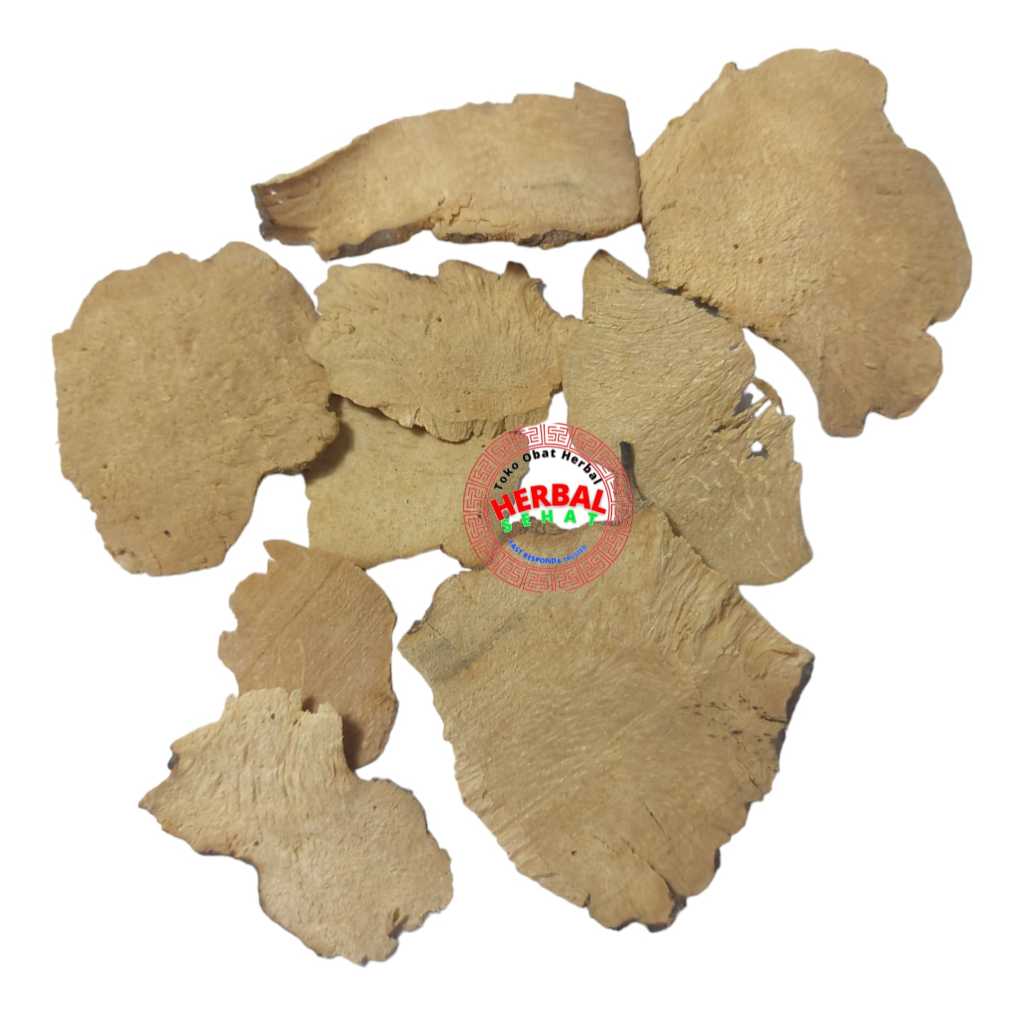 Jual Bi Xie 300gram Bei Xie / Chuan Tai - Rhizoma Dioscoreae ...