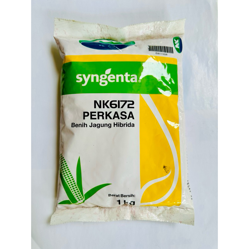 Jual Benih Jagung NK PERKASA 6172 Kemasan 1kg | Shopee Indonesia