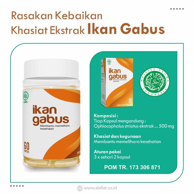 Kapsul Ikan Gabus 60 Kapsul - Berkhasiat Mempercepat Penyembuhan Luka