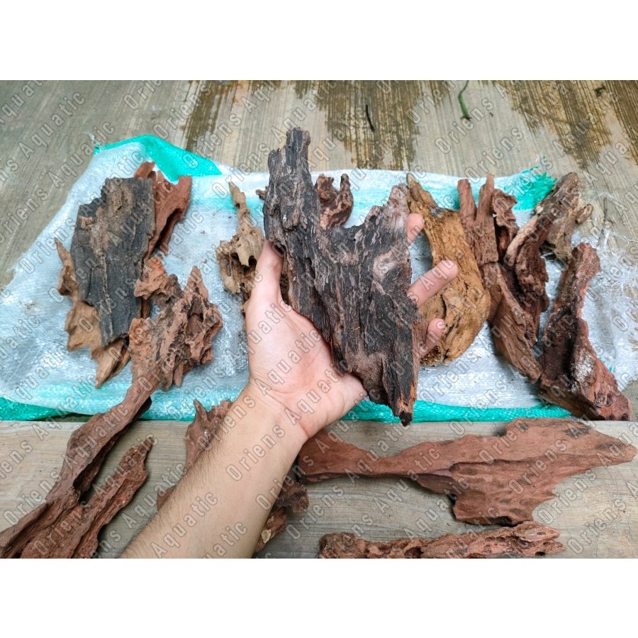 Jual Kayu Rentek / Akar Driftwood Aquascape Paludarium Aquarium ...