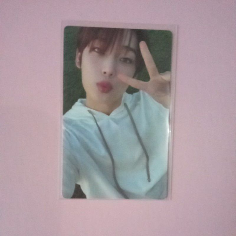 Jual Photocard Enhypen Jungwon Sunoo Dark Blood New Concept Message ...