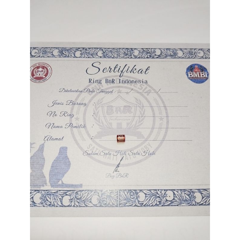 Jual Ring BnR murai plus sertifikat satuan original bnr | Shopee Indonesia