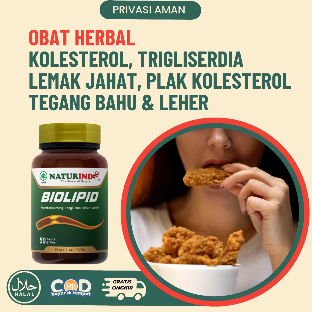 Jual Obat Kolestrol Obat Kolesterol Paling Ampuh Herbal Penurun