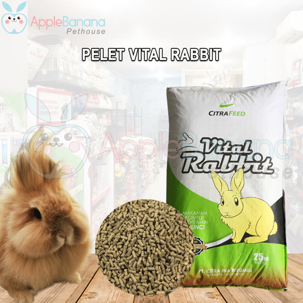 Jual Citra Feed/Vital Rabbit pelet khusus kelinci isi 25 kg | Shopee ...
