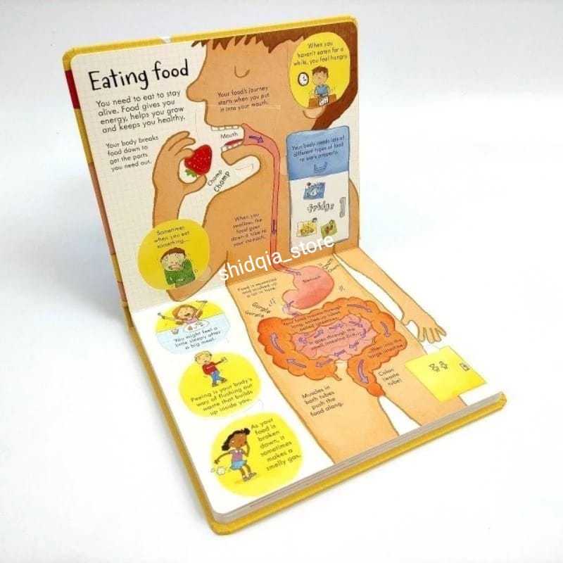 Jual Usborne LOOK INSIDE YOUR BODY Buku Impor edukasi anak Pengenalan ...