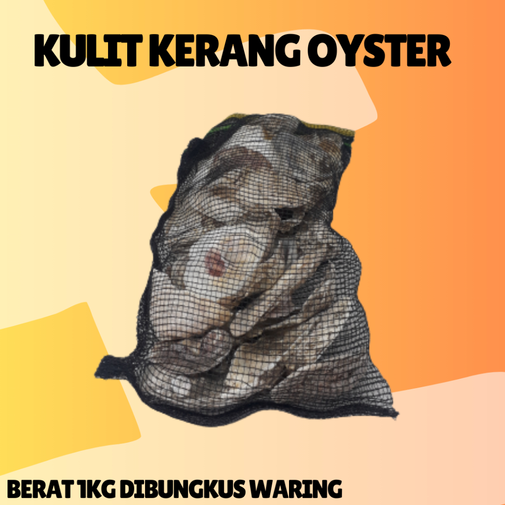 Jual Kulit kerang oyster media filter kolam ikan koi kimiawi biologis