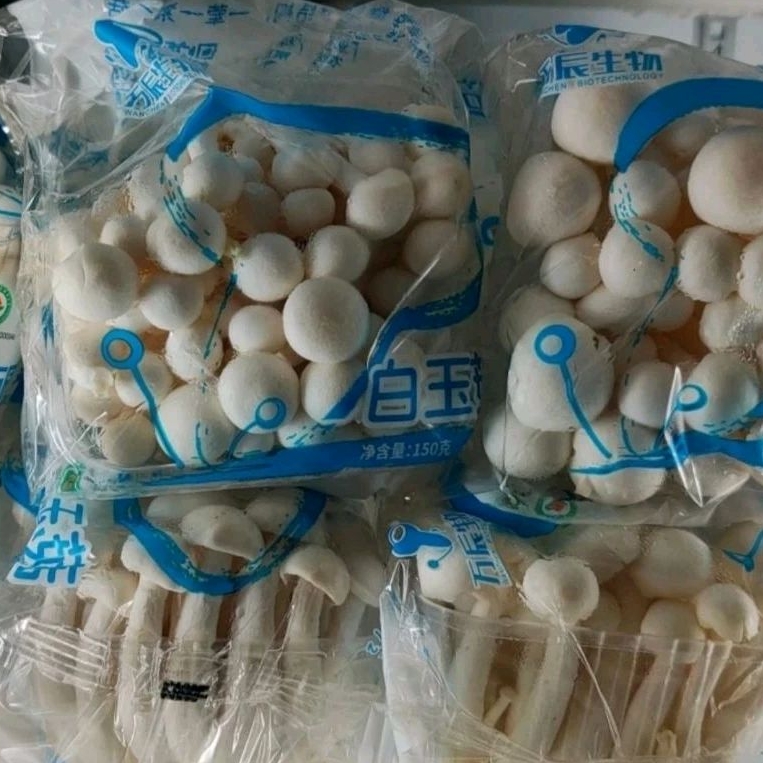 Jual Jamur Shimeji Putih Pack Shopee Indonesia