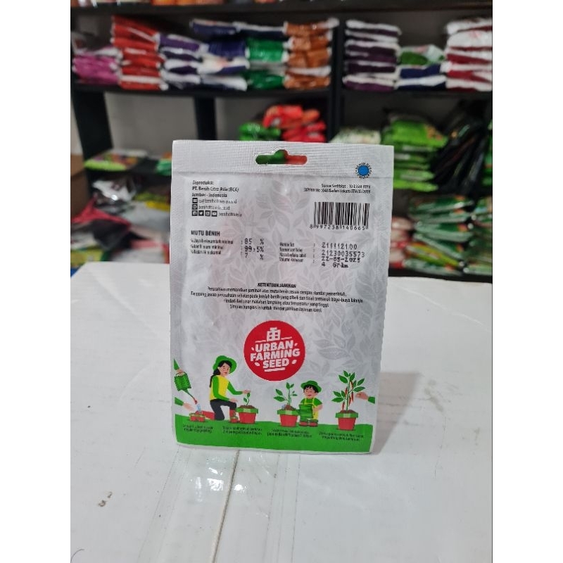 Jual Benih Terong Hejo small pouch | Shopee Indonesia