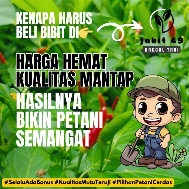 Jual Jabit Gr Biji Benih Unggul Cabe Rawit Merah Lokal