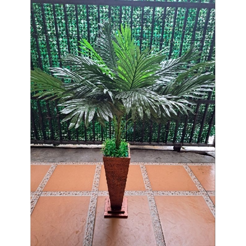 Jual POHON PAKIS SIKAS BERIKUT POT KAYU HOME DEKORASI BUNGA SUDUT ...