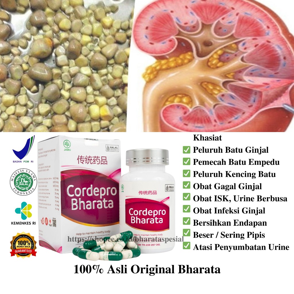 Jual Obat Batu Ginjal Cordepro Bharata Penghancur Batu Ginjal Dan Batu ...