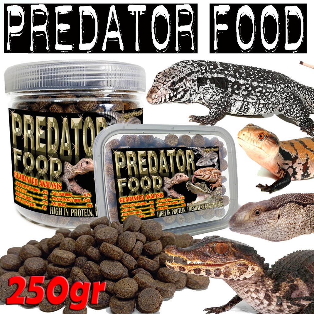 Jual 250GR MAKANAN PREDATOR FOOD PELET DIET REPTILE PAKAN BLACK SALVA ...