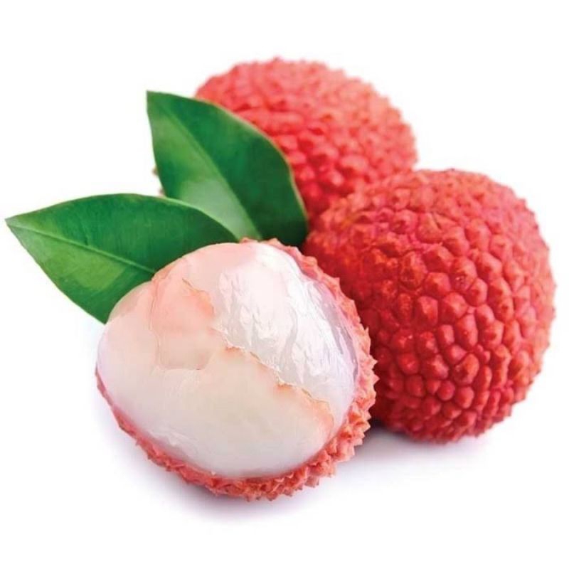 Jual minuman leci | Shopee Indonesia