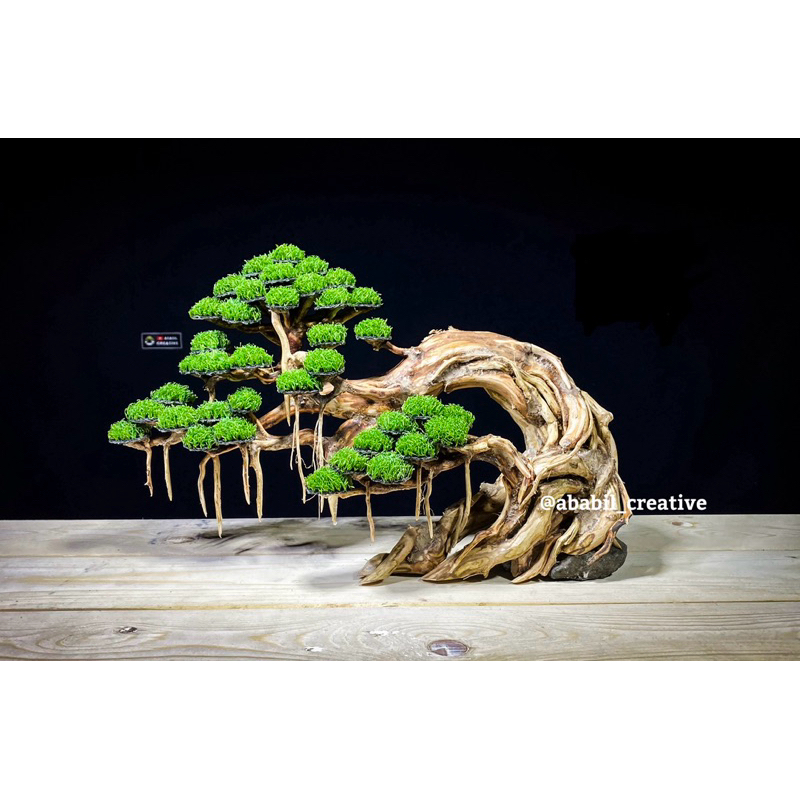Jual BONSAI AQUASCAPE HARDSCAPE BONSAI AQUARIUM HIASAN AQUARIUM