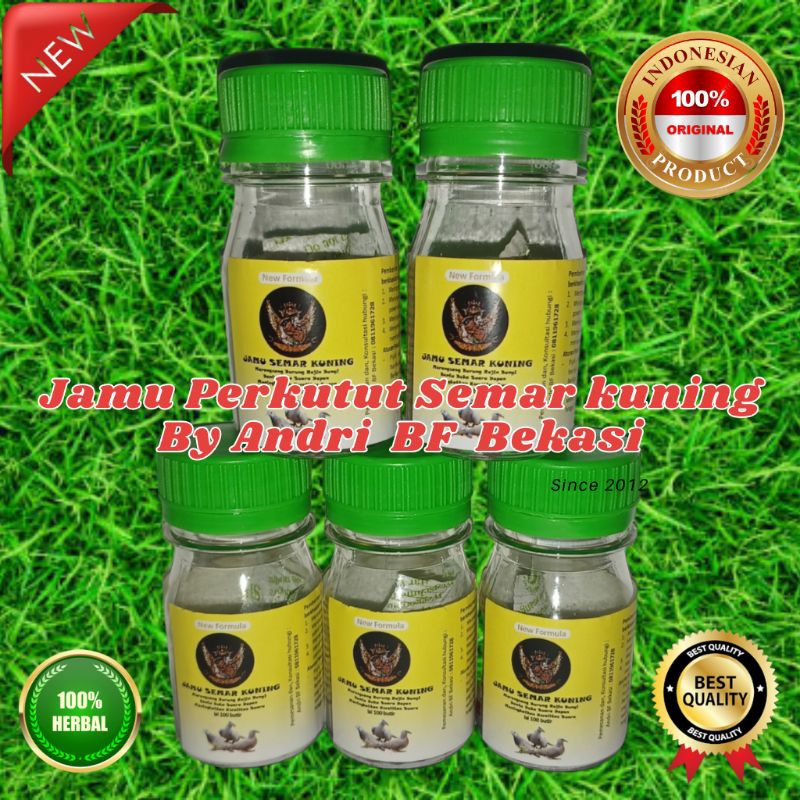 Jual Semar Kuning andri BF | Shopee Indonesia