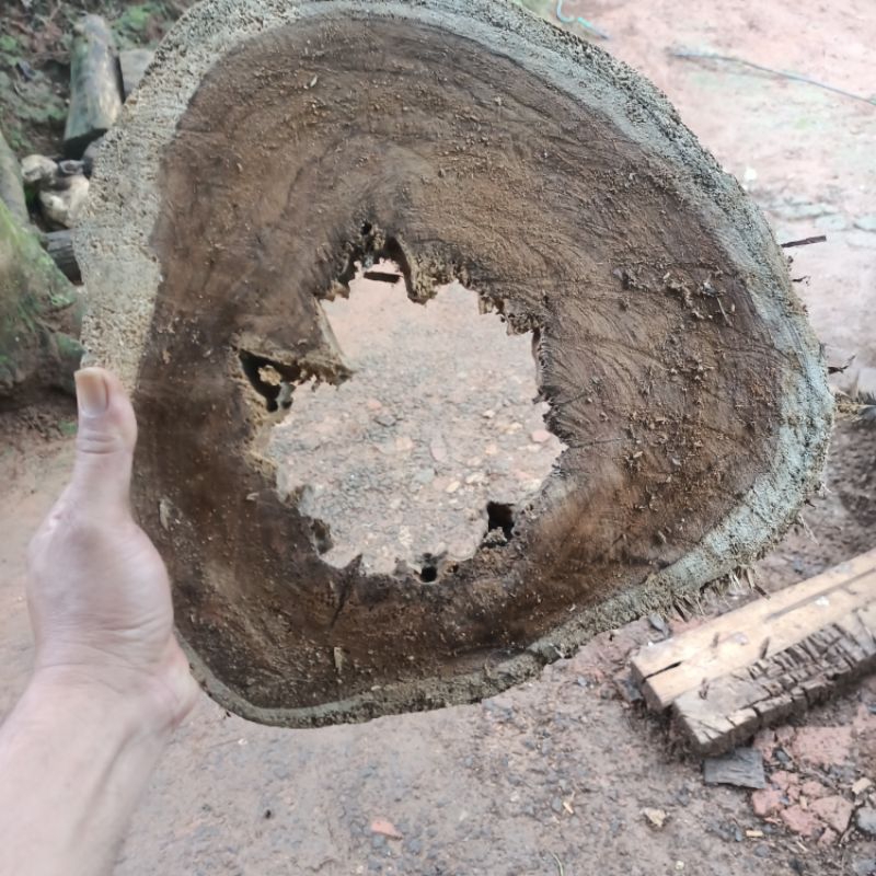 Jual custom kayu jati | Shopee Indonesia