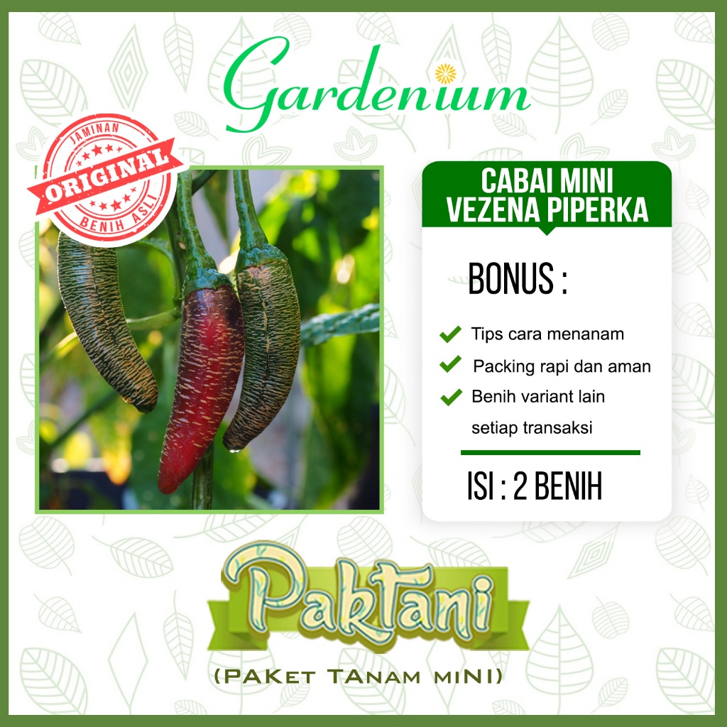 Jual 2 Benih Cabai Mini Vezena Piperka Tanaman Cabe Unggul Paktani ...