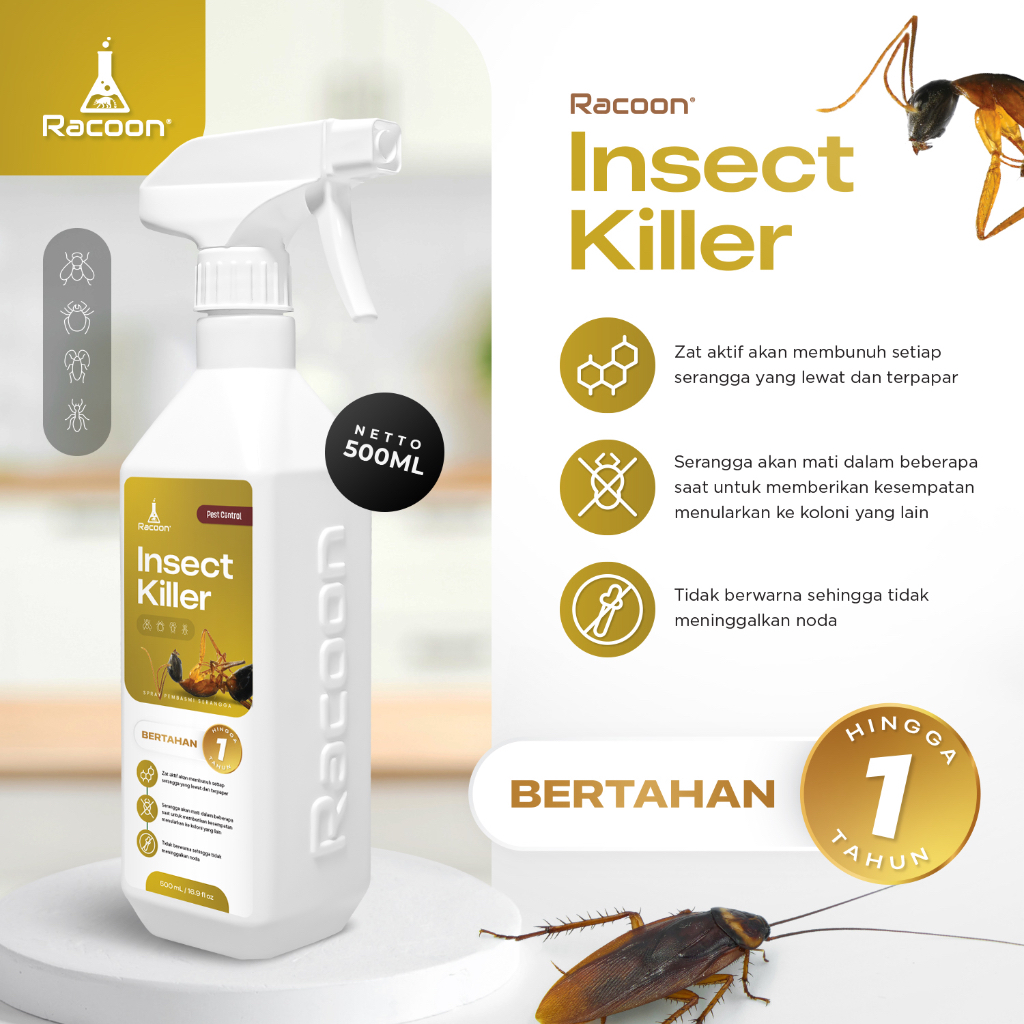 Jual Insect Killer Spray RACOON / Spray Anti Kecoa & Semut Basmi ...