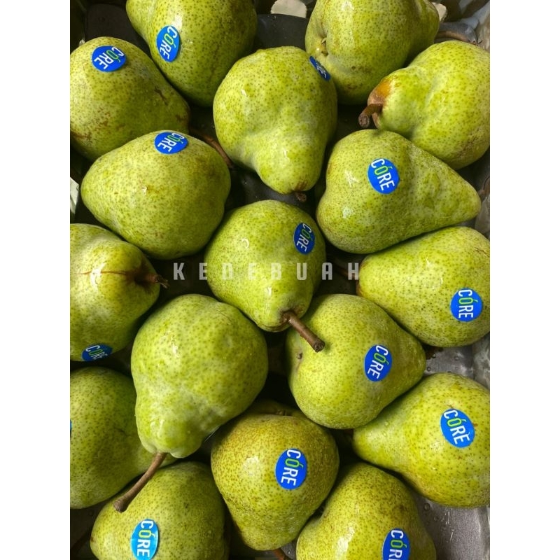 Jual Pear Packham Africa Shopee Indonesia