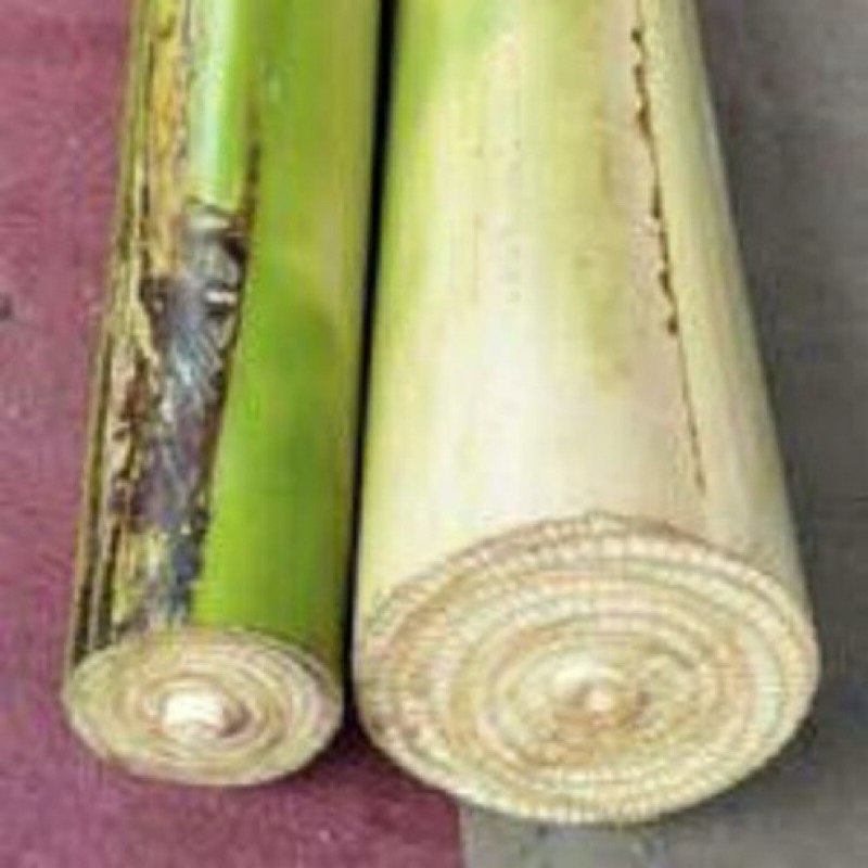 Jual gedebog debog pisang batang pisang banana leaf stem dijual per ...