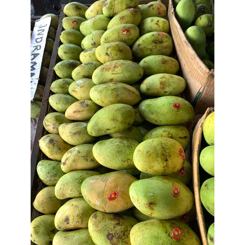 Jual Buah mangga budi raja / mangga budi raja super manis | Shopee ...