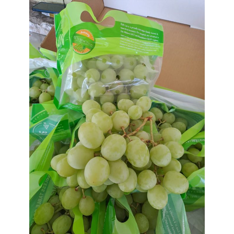 Jual anggur Autumn Crisp Australia RJN /kg | Shopee Indonesia