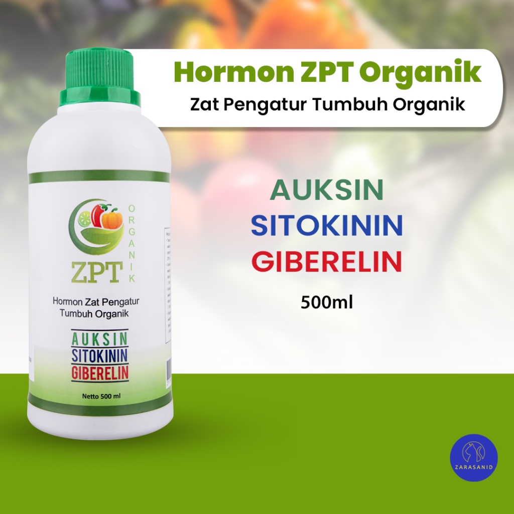 Jual Hormon Zpt Organik Zat Pengatur Tumbuh Organik Lengkap Auksin