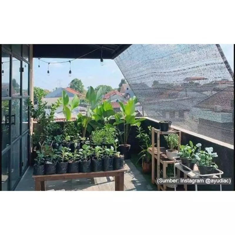 Toko Paranet Surabaya