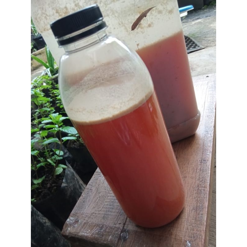 Jual POC fermentasi bonggol pisang kemasan botol 1 liter | Shopee Indonesia