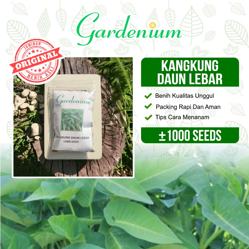 GARDENIUM Benih Kangkung Daun Lebar Sayuran Unggul