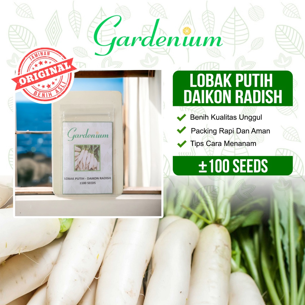 GARDENIUM Benih Lobak Putih Daikon Radish Tanaman Sayur Unggul