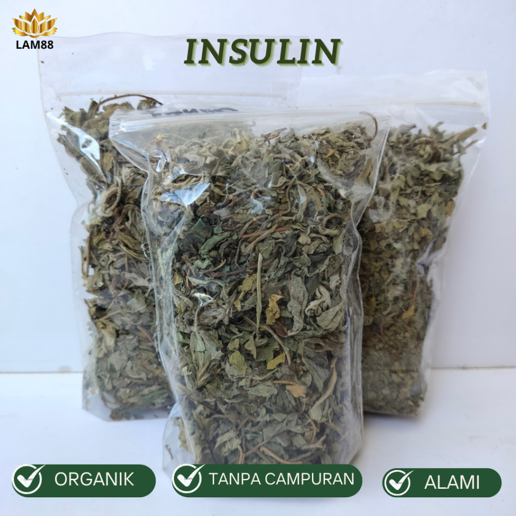 Jual Daun Insulin Kering Herbal Untuk Diabetes Shopee Indonesia