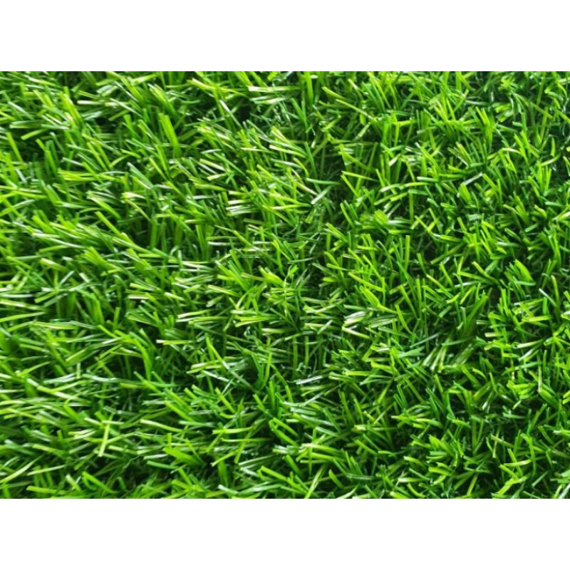 Jual RUMPUT SINTETIS TIPE SWISS 2CM | Shopee Indonesia