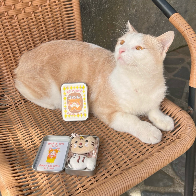 Jual Ramadhan & Eid Hampers ( cat edition ) | Shopee Indonesia